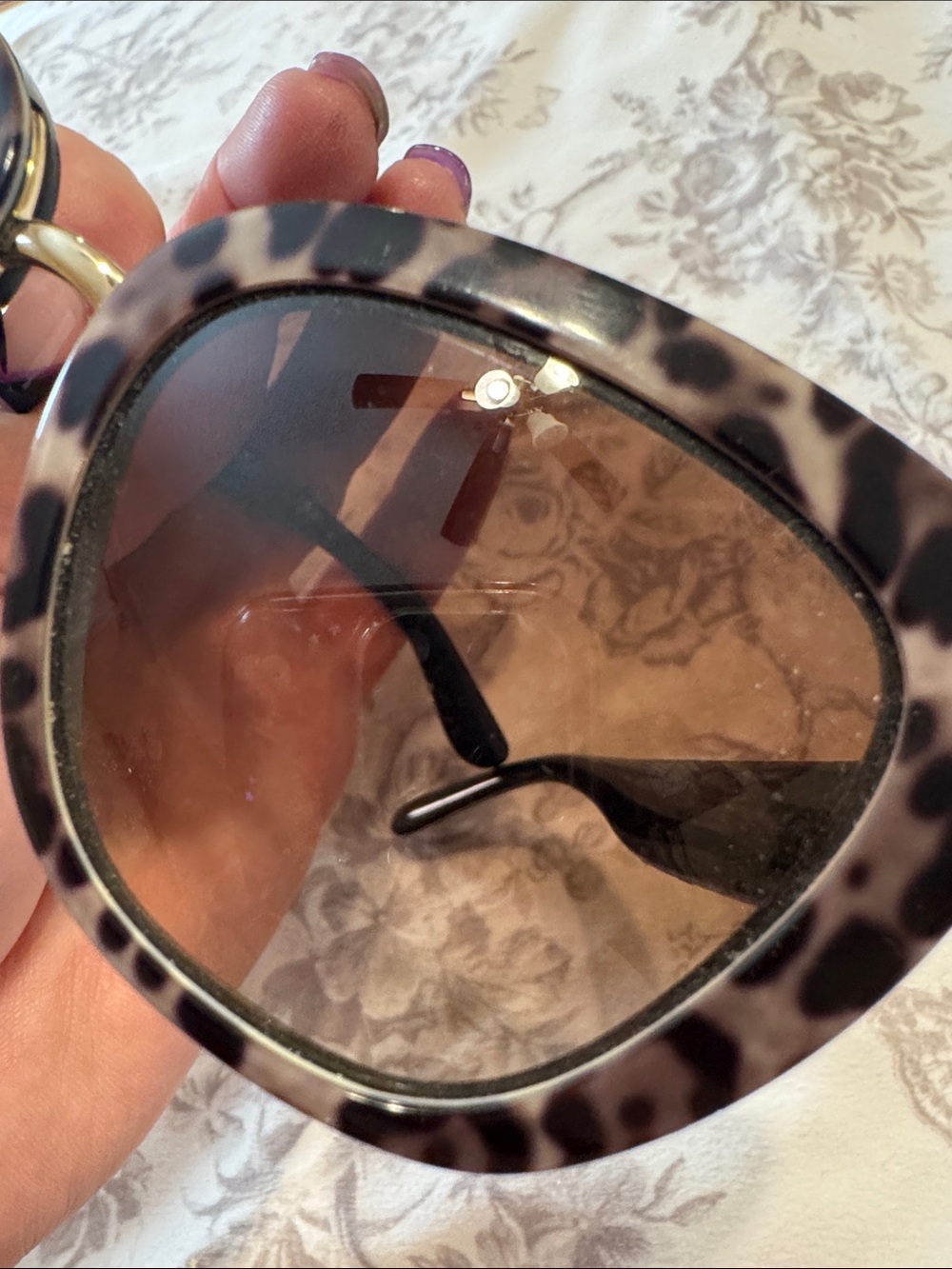 Dolce & Gabbana Oversized Leopard-Print Sunglasses - Brown - Picture 6 of 6